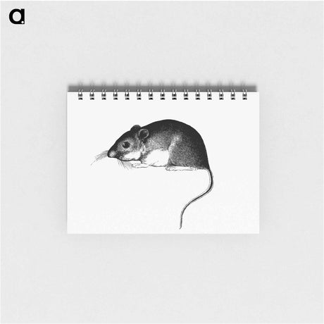 アートメモ帳-Mouse, from Report of an Expedition Down the Zuni and Colorado Rivers
 - 大英図書館 Memo.