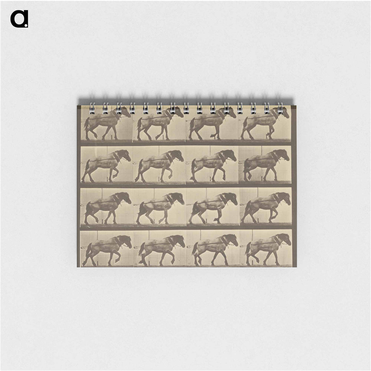 アートメモ帳-Animal Locomotion
 - エドワード マイブリッジ Memo.
