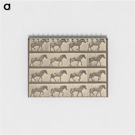 アートメモ帳-Animal Locomotion
 - エドワード マイブリッジ Memo.