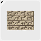 アートポストカード-Animal Locomotion
 - エドワード マイブリッジ Postcard.