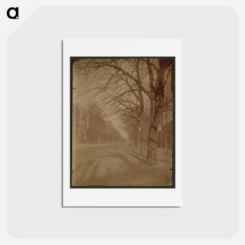 Avenue de l'Observatoire, 14° Arrondissement
 - ウジェーヌ アジェ Postcard.