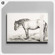 アートパネル-Standing horse - ジャン ベルナール Canvas.