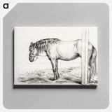 アートパネル-Standing horse - ジャン ベルナール Canvas.