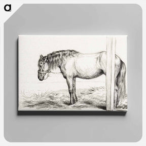 アートパネル-Standing horse - ジャン ベルナール Canvas.