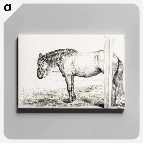 アートパネル-Standing horse - ジャン ベルナール Canvas.