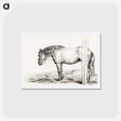 アートポストカード-Standing horse - ジャン ベルナール Postcard.