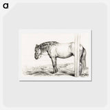 アートポストカード-Standing horse - ジャン ベルナール Postcard.