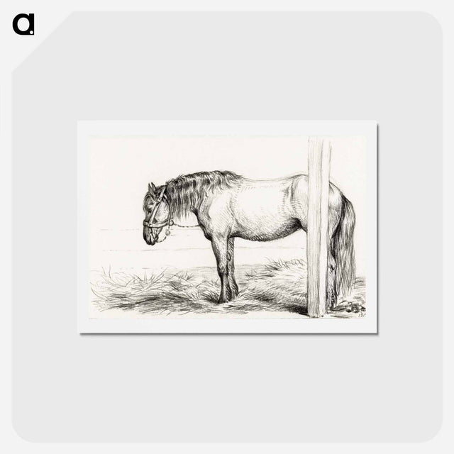 アートポストカード-Standing horse - ジャン ベルナール Postcard.