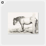 アートポストカード-Standing horse - ジャン ベルナール Postcard.