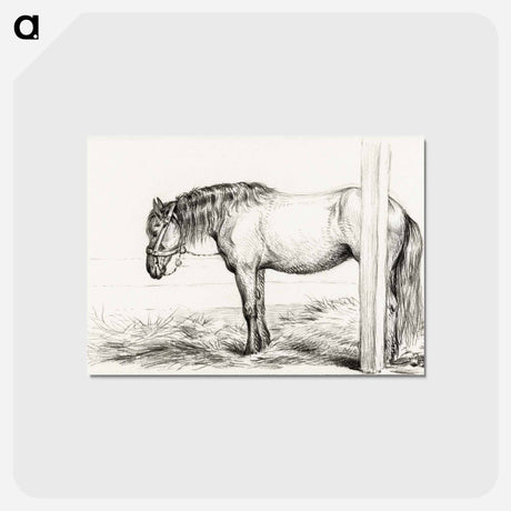 アートポストカード-Standing horse - ジャン ベルナール Postcard.