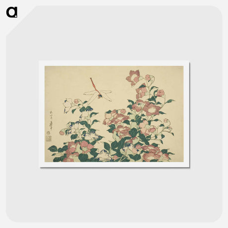 アートポストカード-Hokusai's dragonfly and bellflower - 葛飾 北斎 Postcard.
