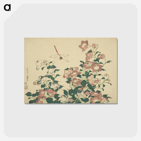アートポストカード-Hokusai's dragonfly and bellflower - 葛飾 北斎 Postcard.