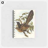 アートメモ帳-Pheasant Cuckoo
 - オーストラリアの鳥 Memo.