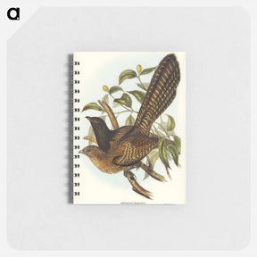 アートメモ帳-Pheasant Cuckoo
 - オーストラリアの鳥 Memo.