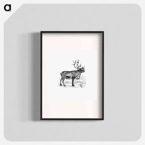 アートポスター-Wild European Reindeer
 - 大英図書館 Poster.