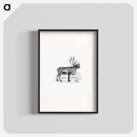 アートポスター-Wild European Reindeer
 - 大英図書館 Poster.