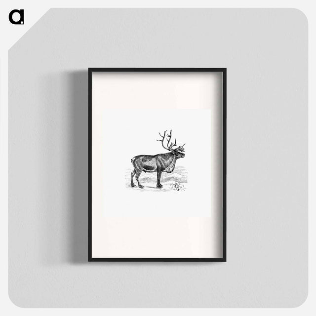 アートポスター-Wild European Reindeer
 - 大英図書館 Poster.