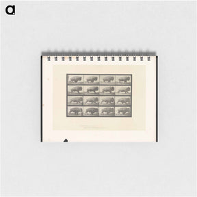 アートメモ帳-Buffalo in Motion
 - エドワード マイブリッジ Memo.