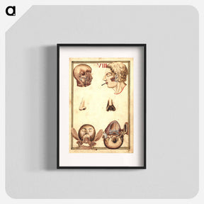 アートポスター-Anatomical Study of the Human Head
 - 国立医学図書館 Poster.