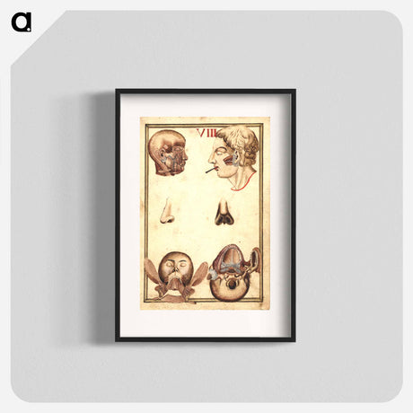 アートポスター-Anatomical Study of the Human Head
 - 国立医学図書館 Poster.