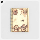 アートメモ帳-Anatomical Study of the Human Head
 - 国立医学図書館 Memo.