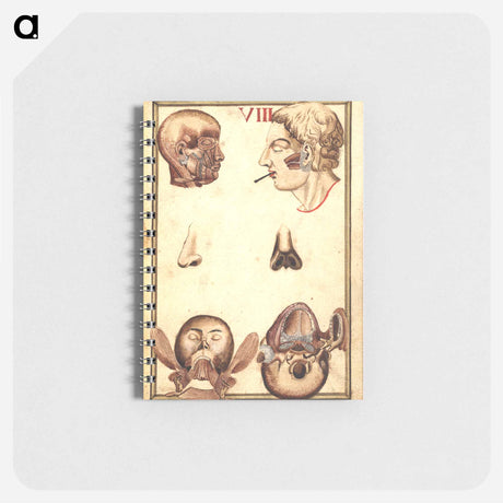 アートメモ帳-Anatomical Study of the Human Head
 - 国立医学図書館 Memo.