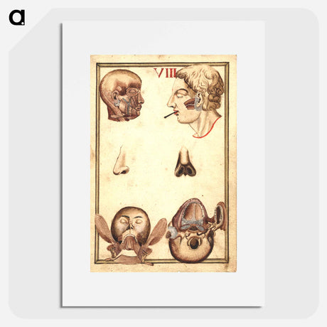 アートポスター-Anatomical Study of the Human Head
 - 国立医学図書館 Poster.