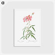 アートポストカード-Peach Leafed Rose - ピエール ジョゼフ ルドゥーテ Postcard.