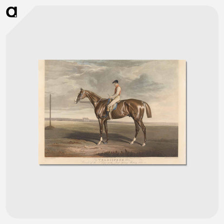 アートポストカード-Velocipede. Winner of the St. Leger at the York Spring Meeting.
 - イェール大学アートギャラリー Postcard.