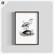 アートポスター-Flamingos from Voyages Dans les Deux Océans Atlantique et Pacifique
 - 大英図書館 Poster.