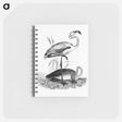 アートメモ帳-Flamingos from Voyages Dans les Deux Océans Atlantique et Pacifique
 - 大英図書館 Memo.