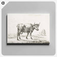 アートパネル-Cow - ジャン ベルナール Canvas.