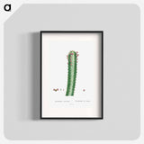 Euphorbia Canariensis - Pierre Joseph Redouté Poster.