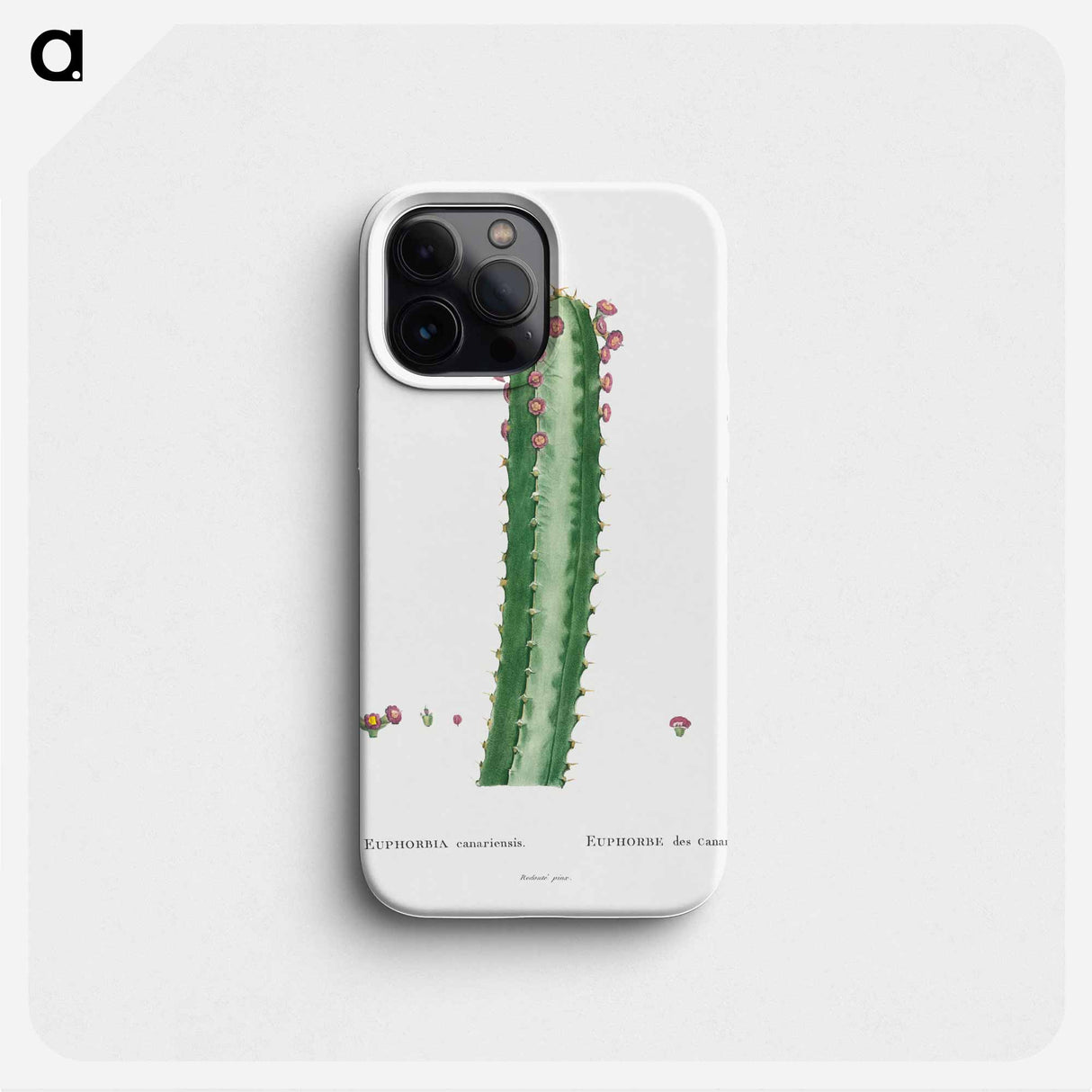 Euphorbia Canariensis - Pierre Joseph Redouté Phone Case.