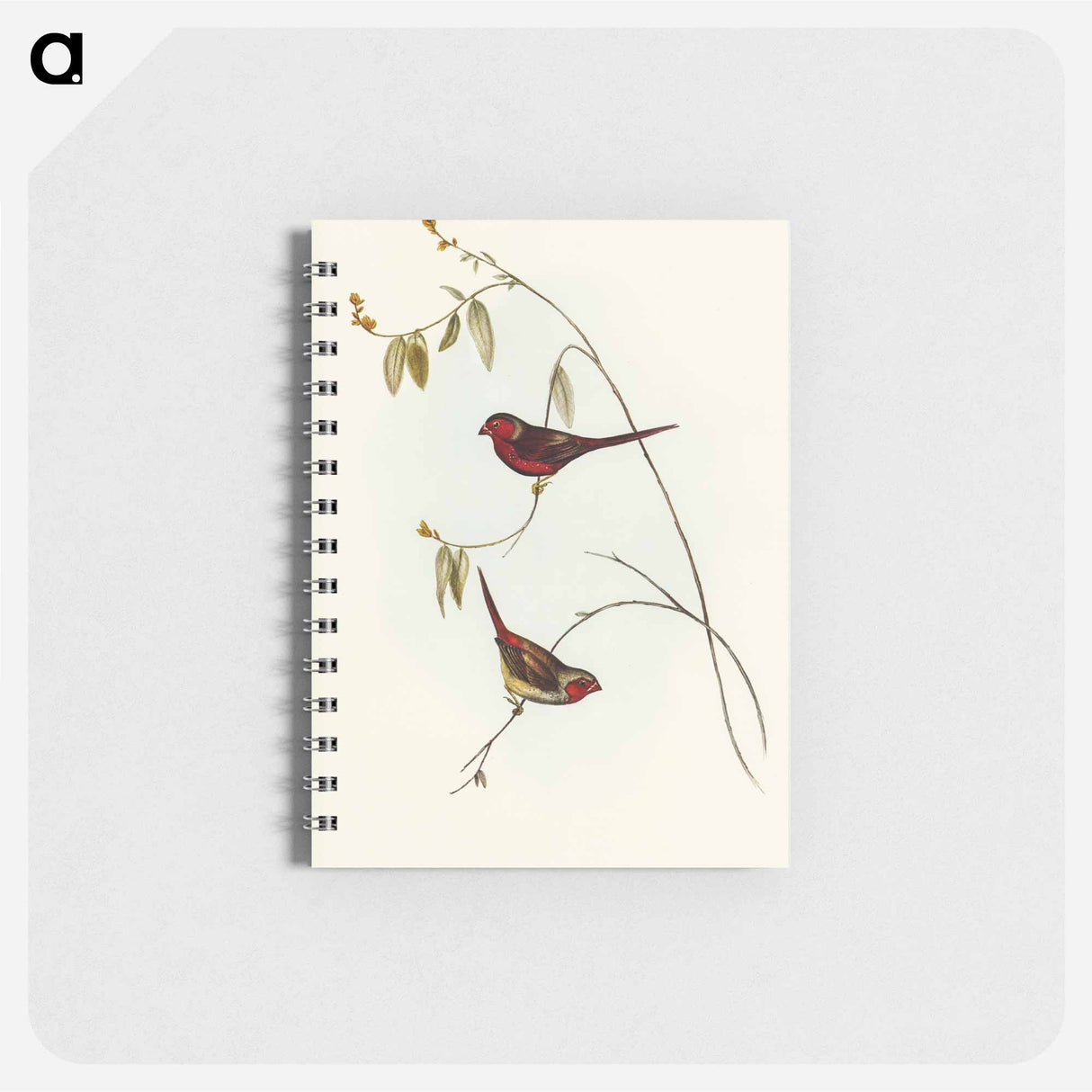 アートメモ帳-Crimson Finch
 - オーストラリアの鳥 Memo.