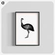 アートポスター-Cassowary
 - 大英図書館 Poster.
