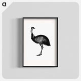 アートポスター-Cassowary
 - 大英図書館 Poster.