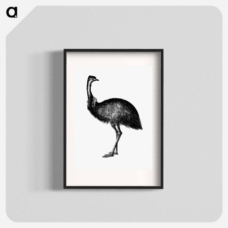 アートポスター-Cassowary
 - 大英図書館 Poster.