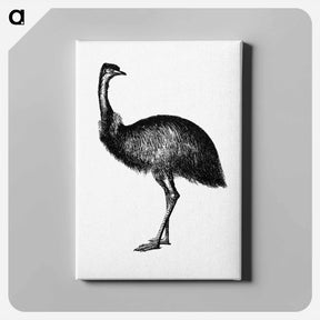 アートパネル-Cassowary
 - 大英図書館 Canvas.