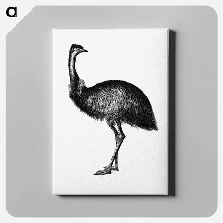 アートパネル-Cassowary
 - 大英図書館 Canvas.