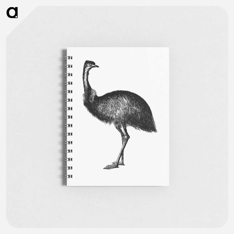 アートメモ帳-Cassowary
 - 大英図書館 Memo.