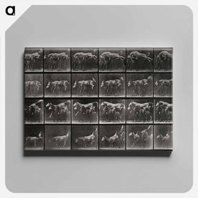 アートパネル-Horse and Ponies
 - エドワード マイブリッジ Canvas.