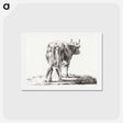 アートポストカード-Standing cow - ジャン ベルナール Postcard.