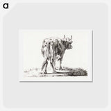 アートポストカード-Standing cow - ジャン ベルナール Postcard.