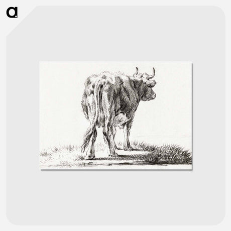 アートポストカード-Standing cow - ジャン ベルナール Postcard.