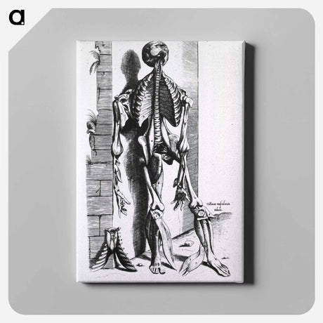 アートパネル-Muscles and Bones of the Human Body
 - 国立医学図書館 Canvas.