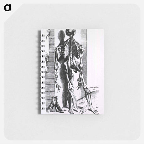 アートメモ帳-Muscles and Bones of the Human Body
 - 国立医学図書館 Memo.