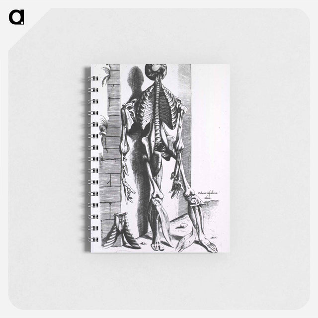 アートメモ帳-Muscles and Bones of the Human Body
 - 国立医学図書館 Memo.