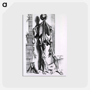 アートポストカード-Muscles and Bones of the Human Body
 - 国立医学図書館 Postcard.