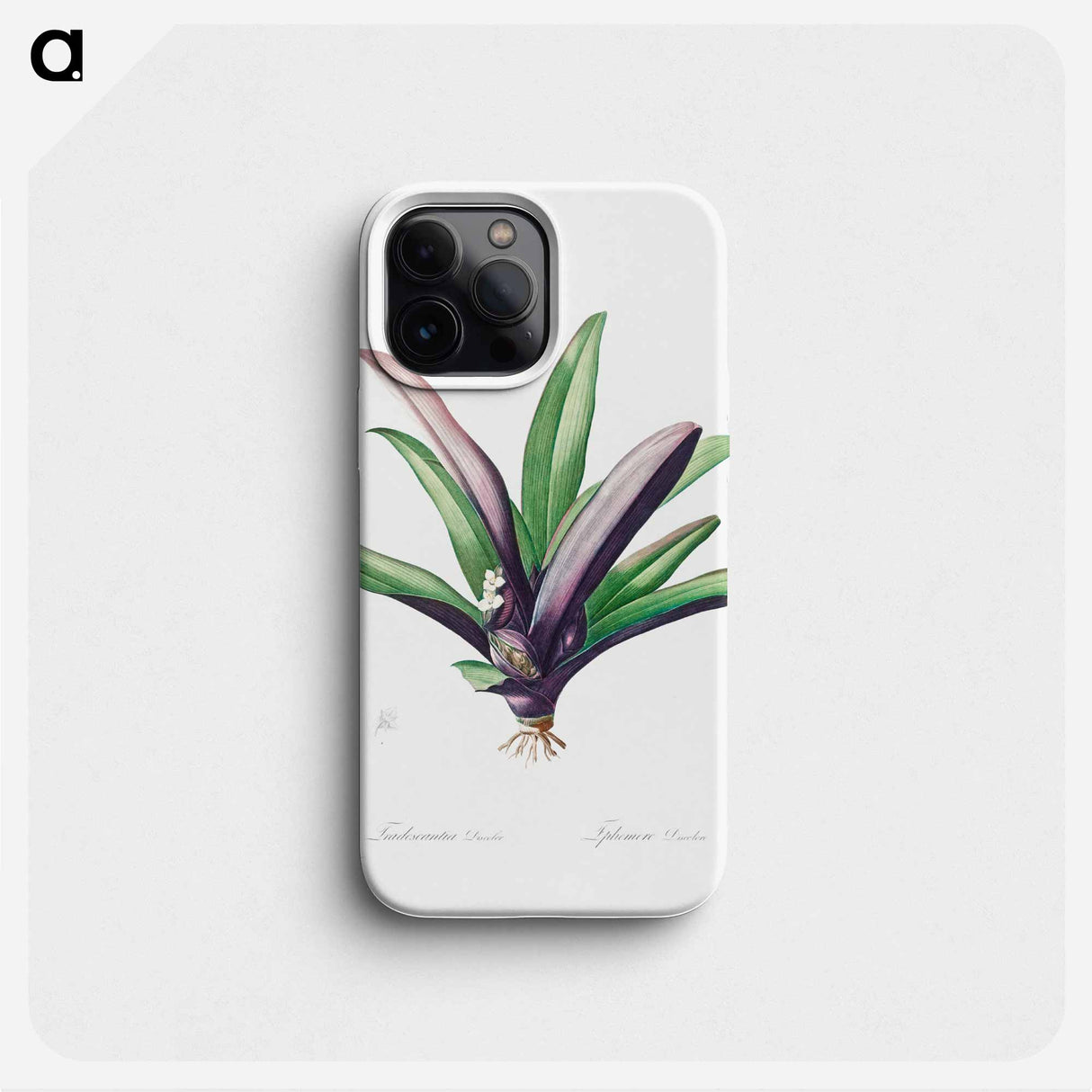 Tradescantia Discolor - Pierre Joseph Redouté Phone Case.